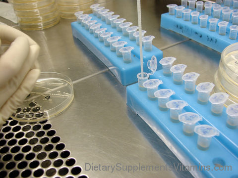 Saccharomyces Boulardii Candida